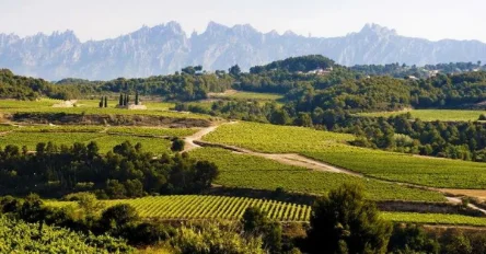 Penedès wine country